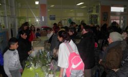 March De Nol Ecole Peri Curie   013